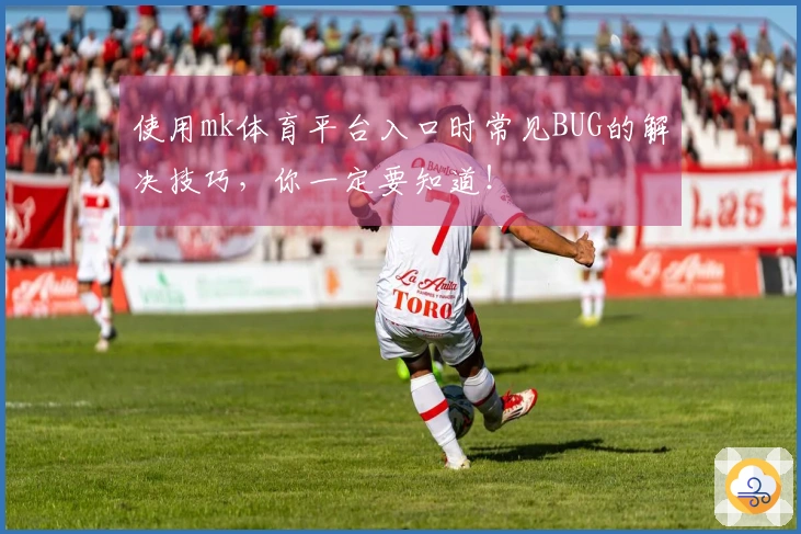 使用mk体育平台入口时常见BUG的解决技巧，你一定要知道！