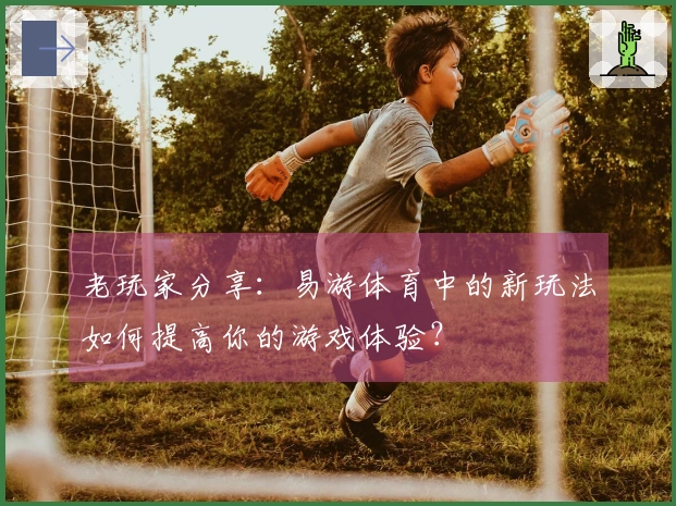 老玩家分享：易游体育中的新玩法如何提高你的游戏体验？
